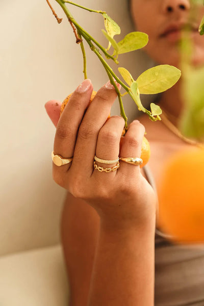 The Spice Of Life Beaded Ring Goud