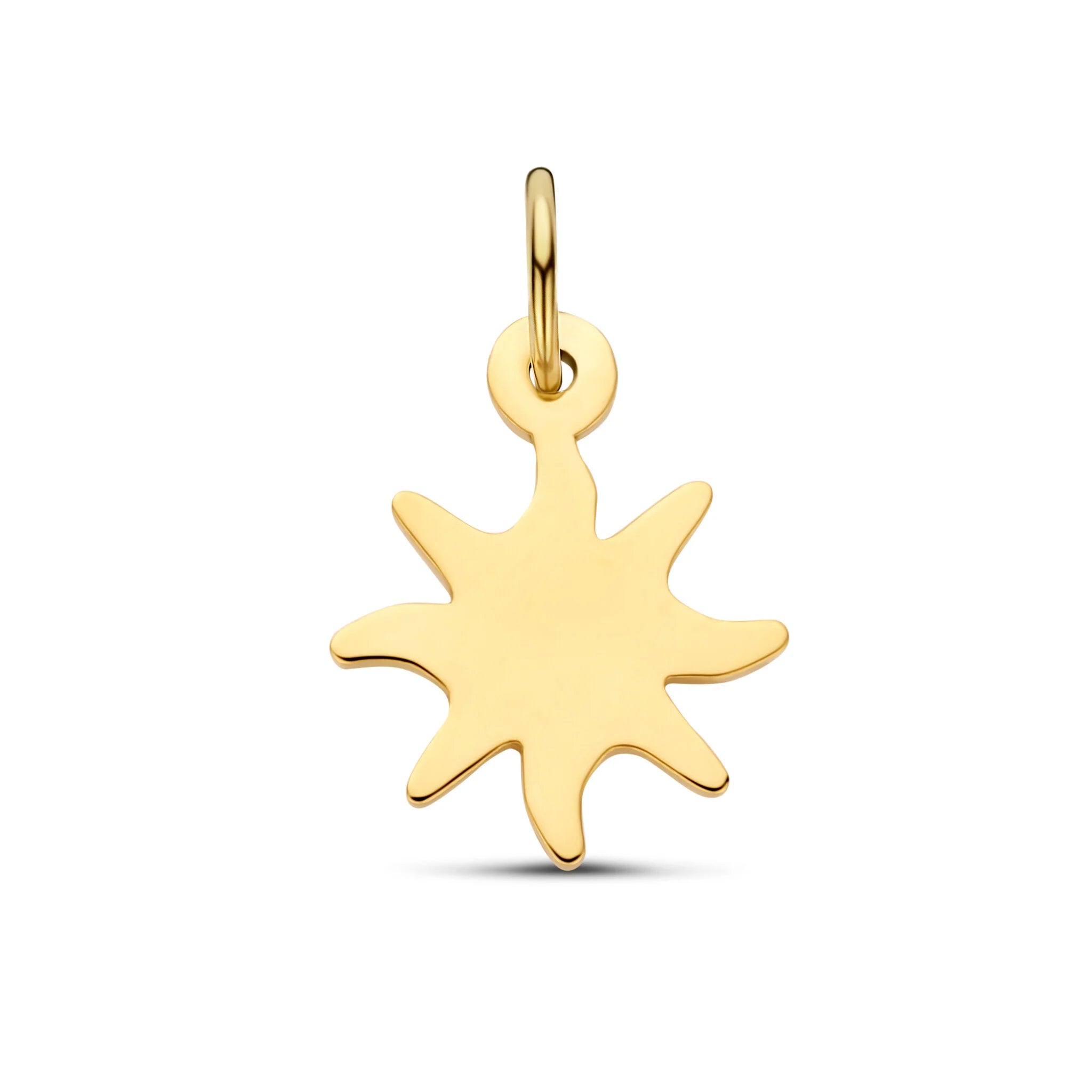 Just Franky Zon Bedel Goud