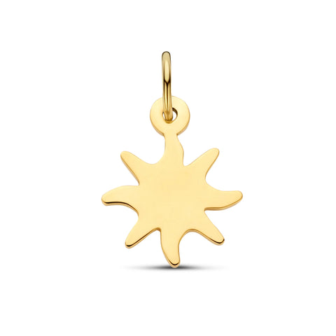 Just Franky Zon Bedel Goud