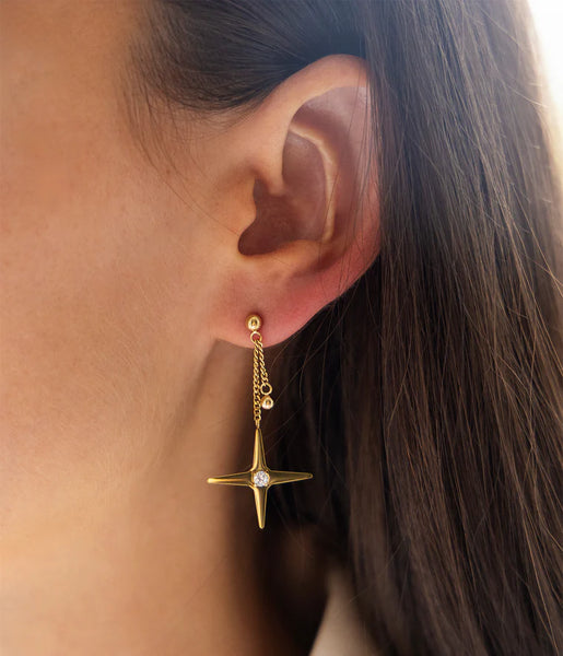 Zag Ewald Earrings Goud