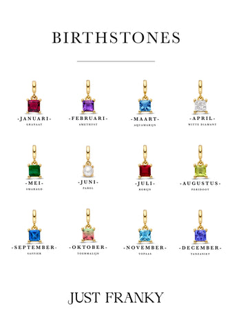 Just Franky Geboortesteen Bedel Vierkant November Goud
