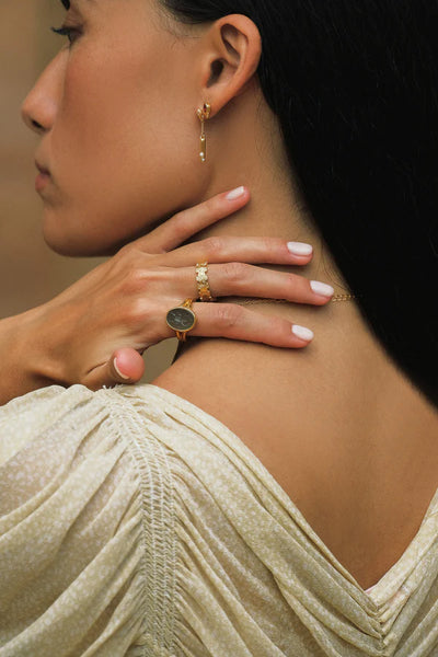 The Spice Of Life Scarab Signet Ring Goud