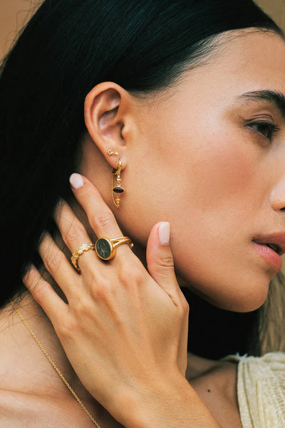 The Spice Of Life Scarab Signet Ring Goud