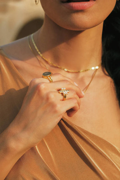 The Spice Of Life Scarab Signet Ring Goud