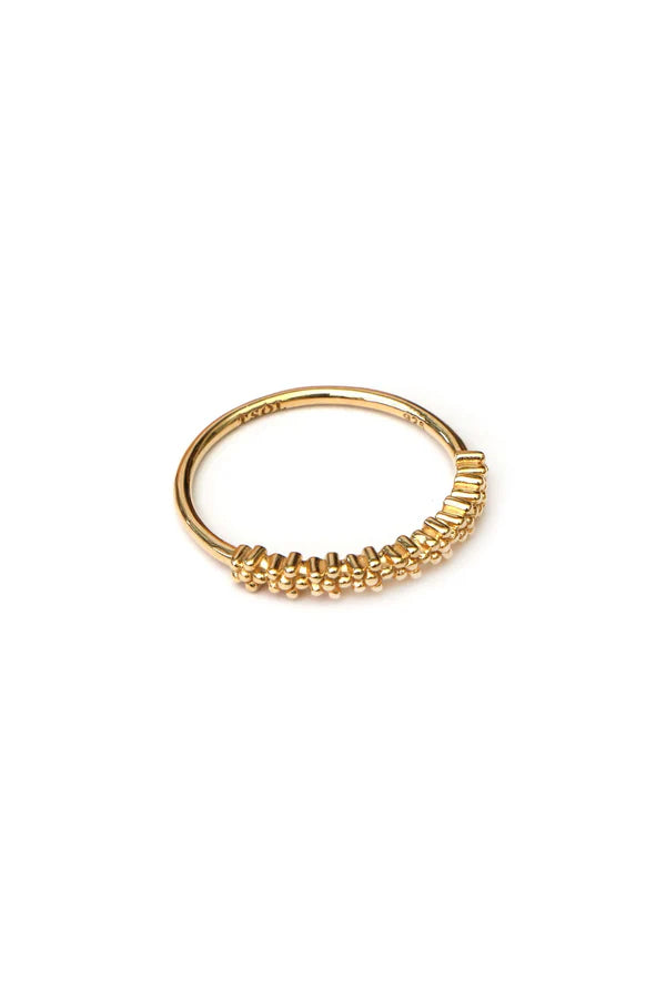 The Spice Of Life Tiny Flowers Ring Goud