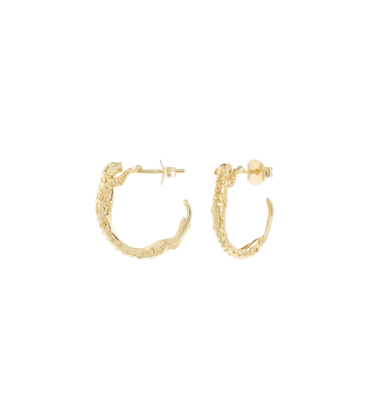 Anna+Nina Small Wild Arc Hoop Earrings Goldplated