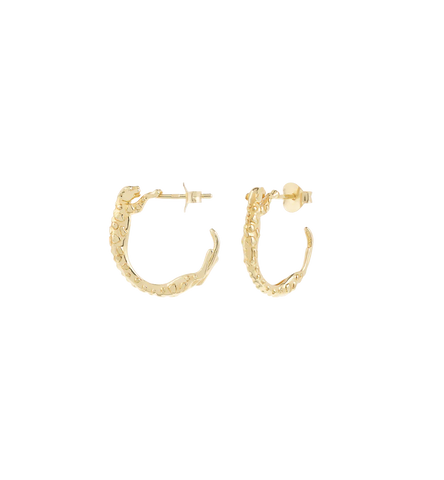 Anna+Nina Small Wild Arc Hoop Earrings Goldplated