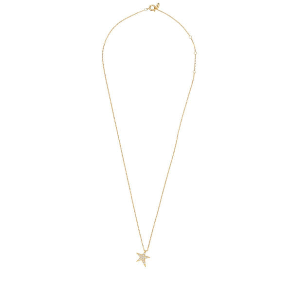 Trendjuwelier Bemelmans - A New Day Amsterdam Power Star Necklace Clear Gold