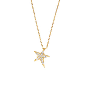 Trendjuwelier Bemelmans - A New Day Amsterdam Power Star Necklace Clear Gold