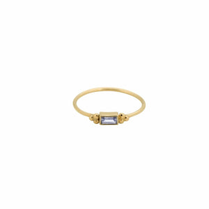 Anna+Nina Baguette Ring Zirconia Ring 14 krt Goud | Trendjuwelier Bemelmans.