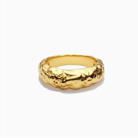 Trendjuwelier Bemelmans - Eline Rosina Misha Ring Goud