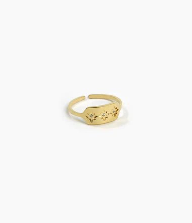 Trendjuwelier Bemelmans - Zag Bijoux Lassie ring Goud R7